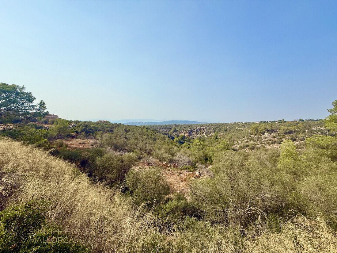 Land in Palma, Balearic Islands, Spain 4 - 17904373