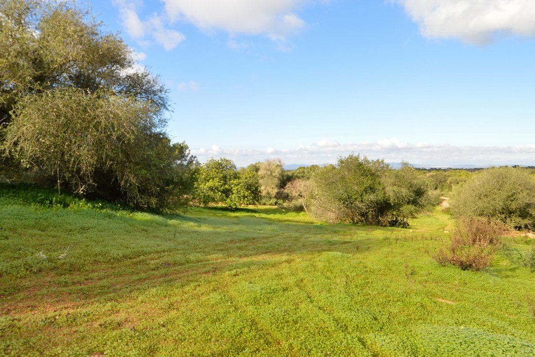 Finca in Calonge i Sant Antoni, Catalonia, Spain 5 - 17904349