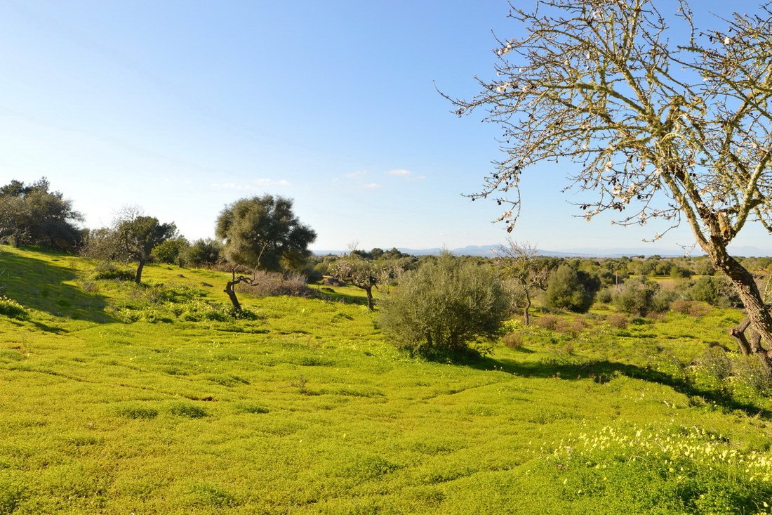 Finca in Calonge i Sant Antoni, Catalonia, Spain 2 - 17904349