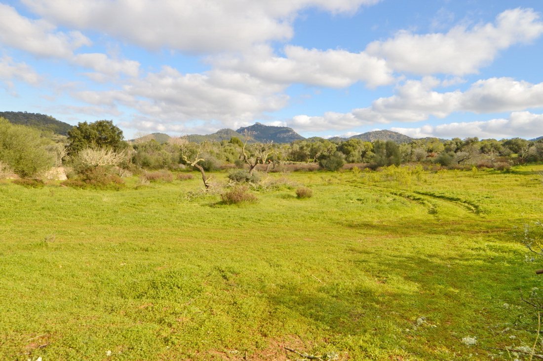 Finca in Calonge i Sant Antoni, Catalonia, Spain 1 - 17904349