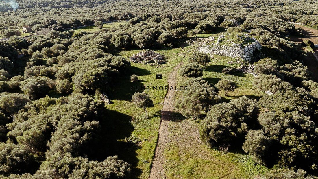 Finca in Alaior, Balearische Inseln, Spanien 2 - 17905411