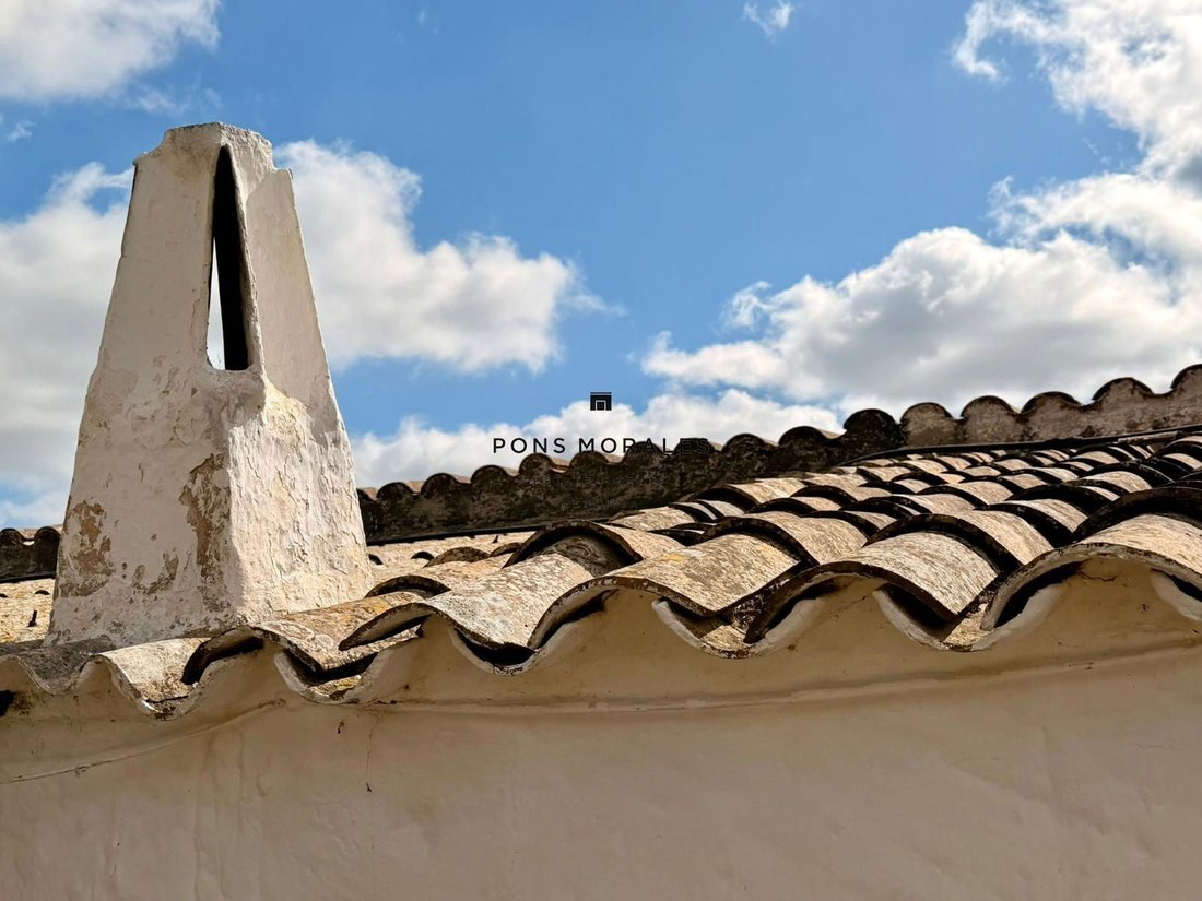 Finca in Ciutadella de Menorca, Balearic Islands, Spain 4 - 17905517