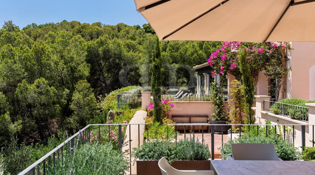 Finca in Camp de Mar, Mallorca, Andratx, Balearic Islands 3 - 17904353