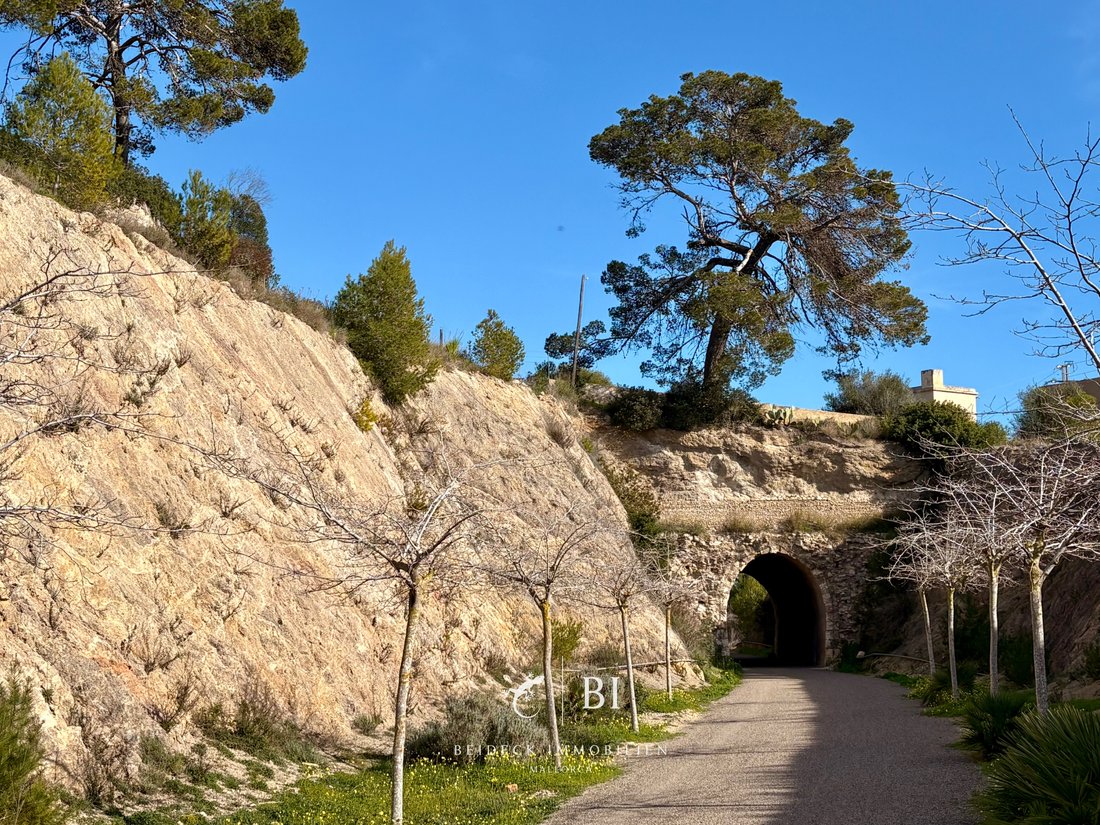 Finca in Sant Llorenc des Cardassar, Balearic Islands, Spain 3 - 17905068