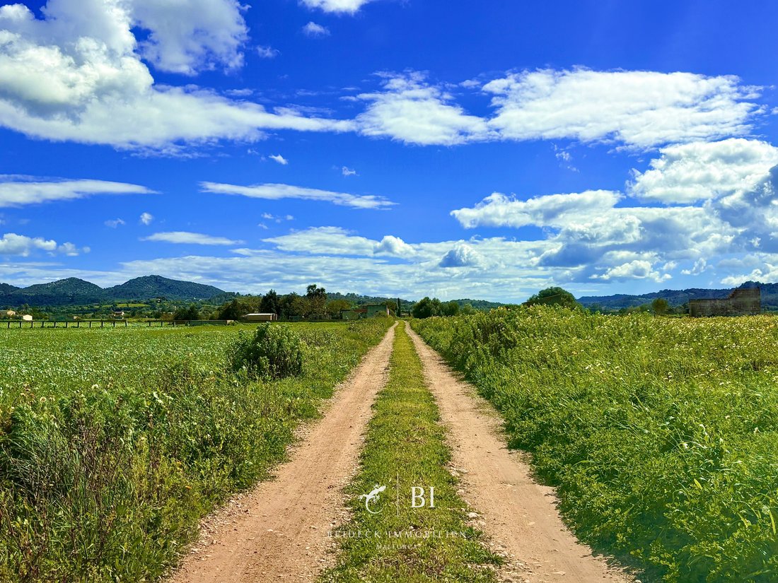 Finca in Manacor, Balearic Islands, Spain 3 - 17905524