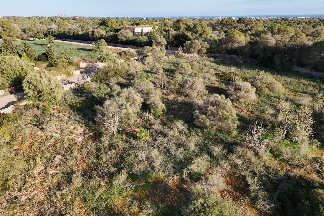 Finca a S'Alqueria Blanca, Santanyí, Isole Baleari 1 - 17904327
