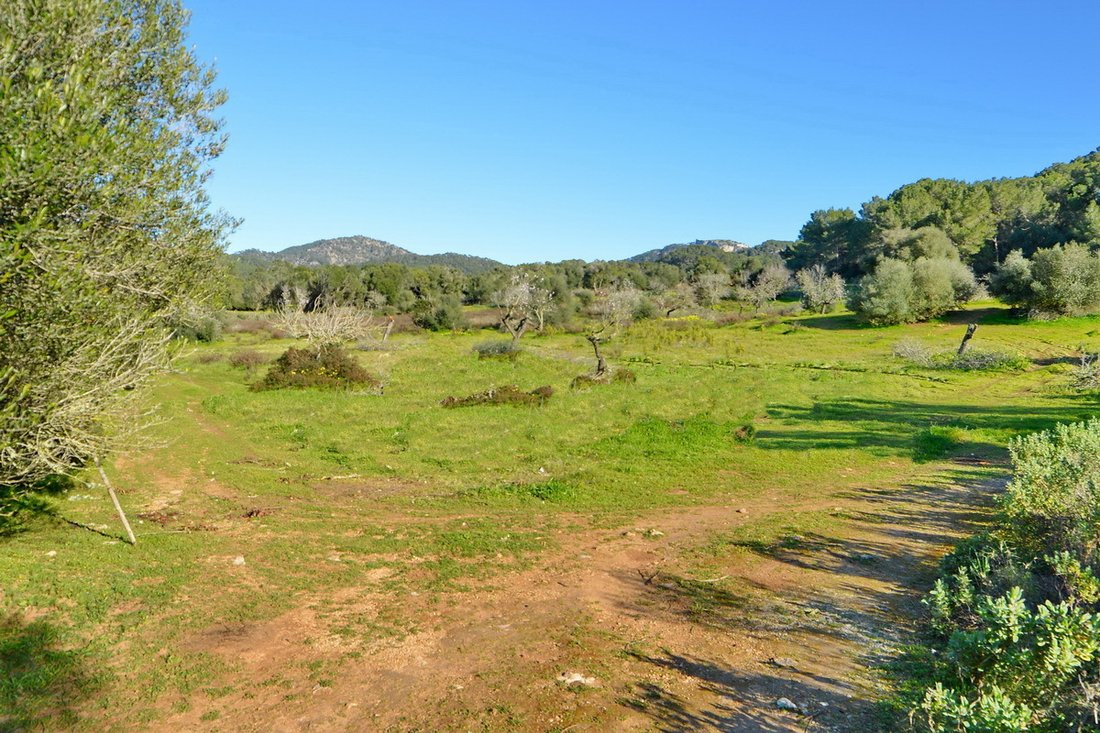 Finca in Calonge i Sant Antoni, Catalonia, Spain 3 - 17904349
