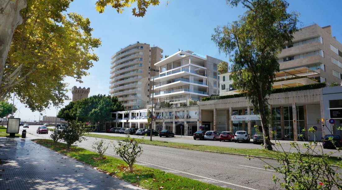 Apartment in Port d'Andratx, Andratx, Balearic Islands 1 - 17904774