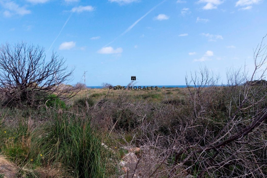 Land in Es Mercadal, Balearische Inseln, Spanien 5 - 17904251