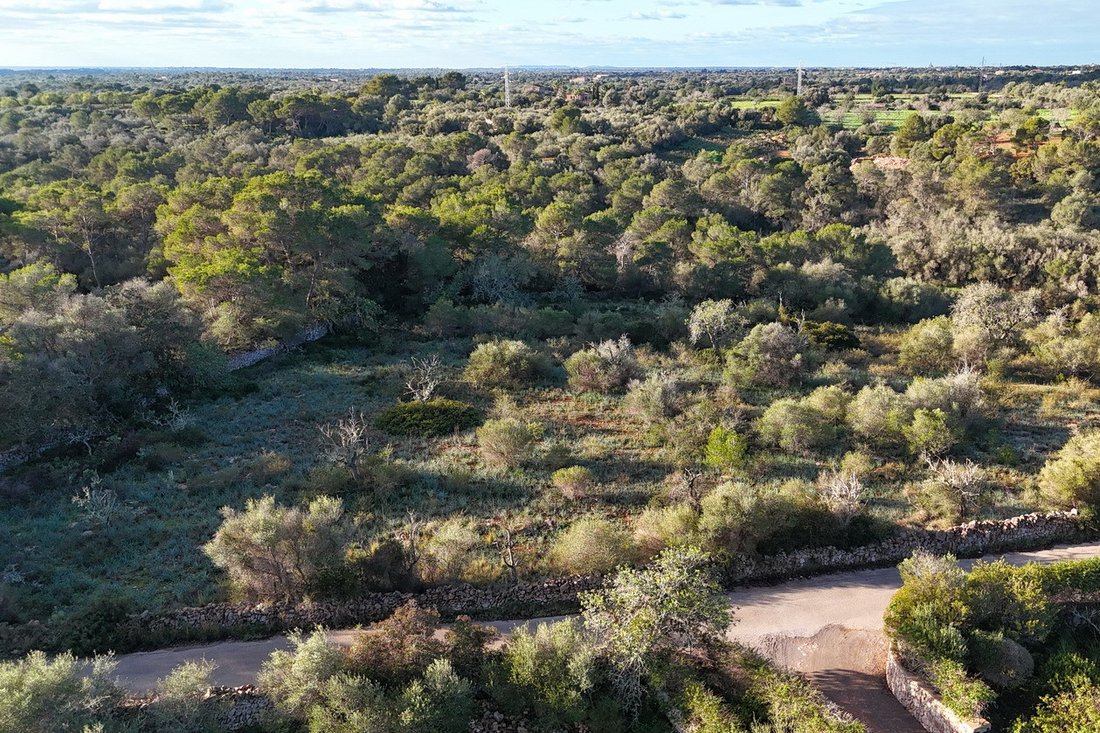 Finca a S'Alqueria Blanca, Santanyí, Isole Baleari 2 - 17904327