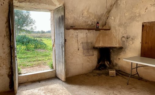 Land in Felanitx, Balearische Inseln, Spanien 1
