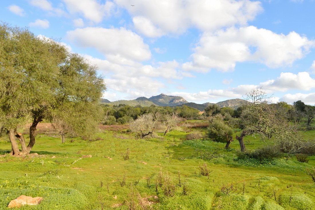 Finca in Calonge i Sant Antoni, Catalonia, Spain 4 - 17904349