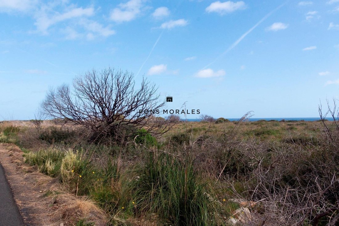 Land in Es Mercadal, Balearische Inseln, Spanien 4 - 17904251