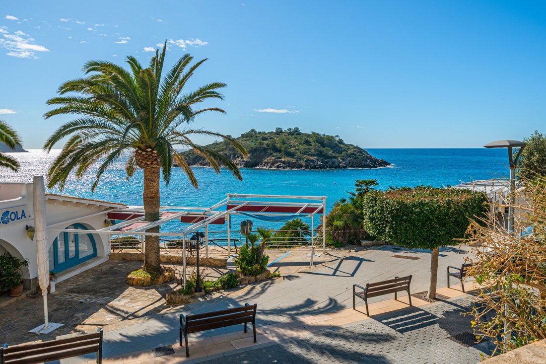 Villa in Sant Elm, Andratx, Balearic Islands 3 - 17904555