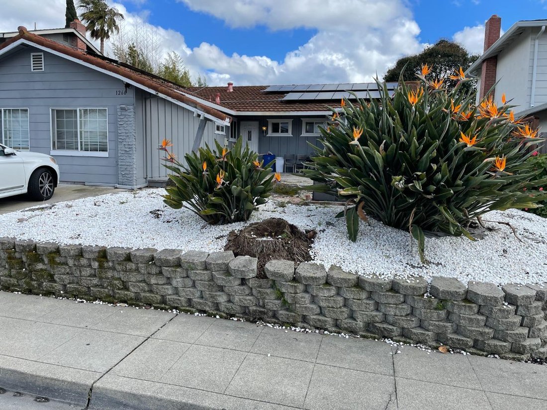 House in Milpitas, California, United States 1 - 17909446