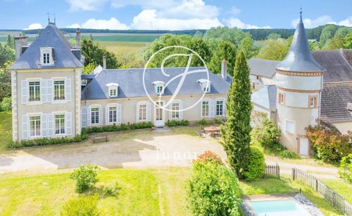 Estate in Vornay, Centre-Val de Loire, France 1