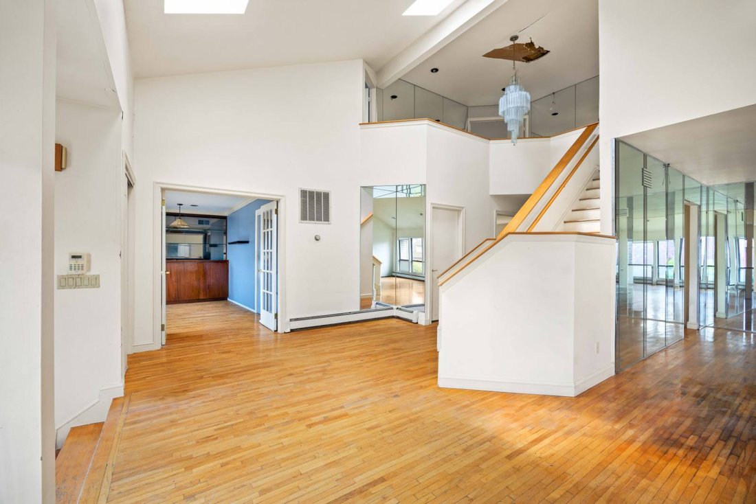 House in Albertson, New York, United States 3 - 17905859