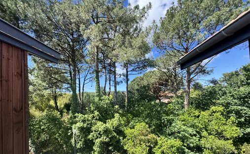 House in Cazaux, La Teste-de-Buch, France 1