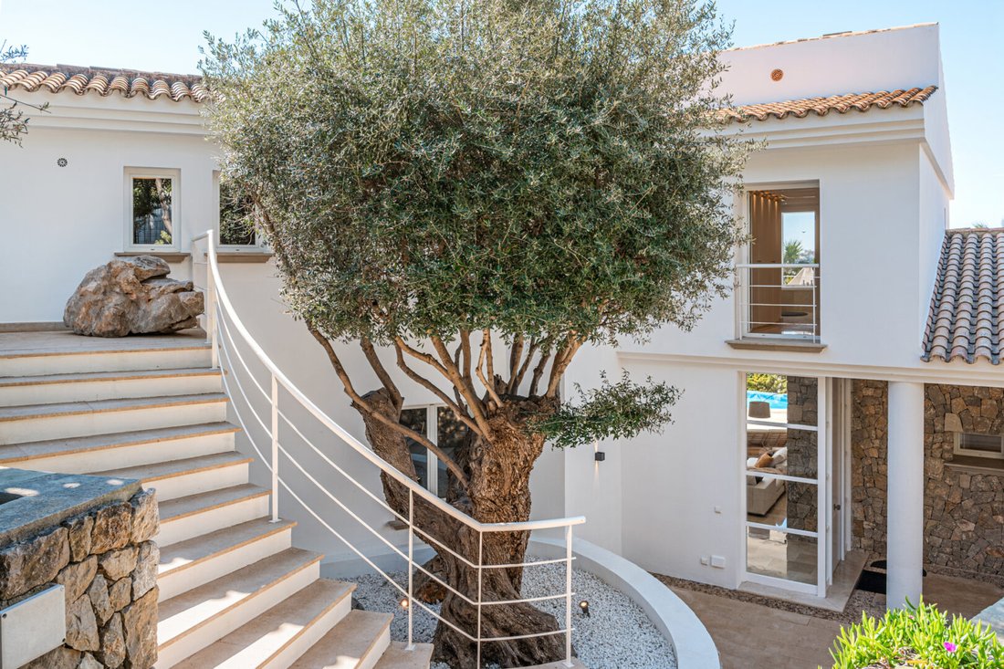 Villa in Port d'Andratx, Andratx, Balearic Islands 3 - 17910038