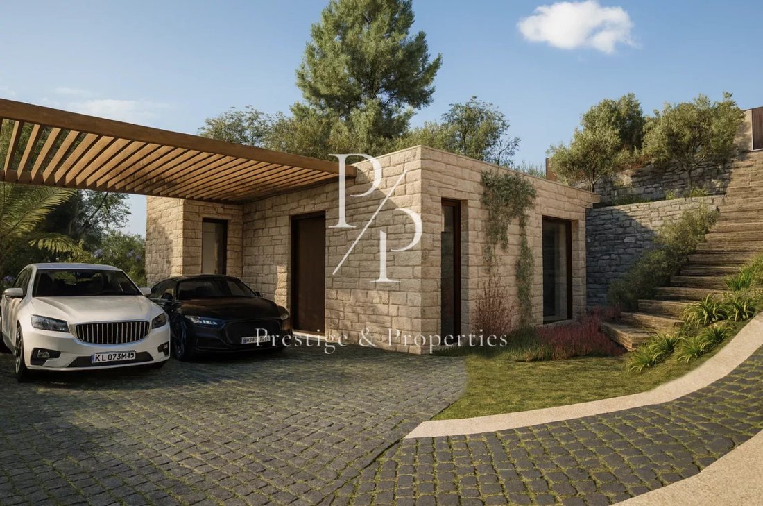 Villa in Cannes, Provence-Alpes-Côte d'Azur, France 4 - 15659263