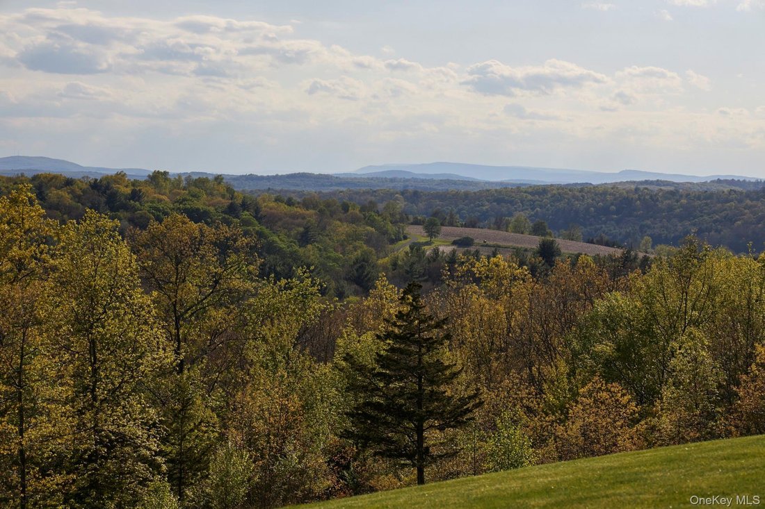 House in Millbrook, New York, United States 3 - 17908412