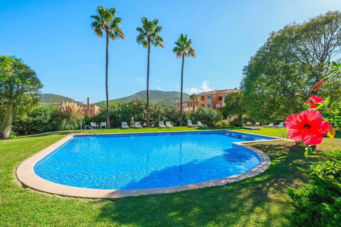 Apartment in Port d'Andratx, Andratx, Balearic Islands 1 - 17910518
