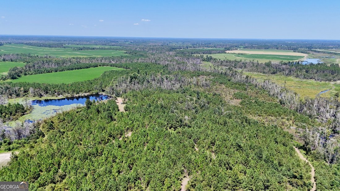 Farm Ranch in Hazlehurst, Georgia, United States 1 - 17911402