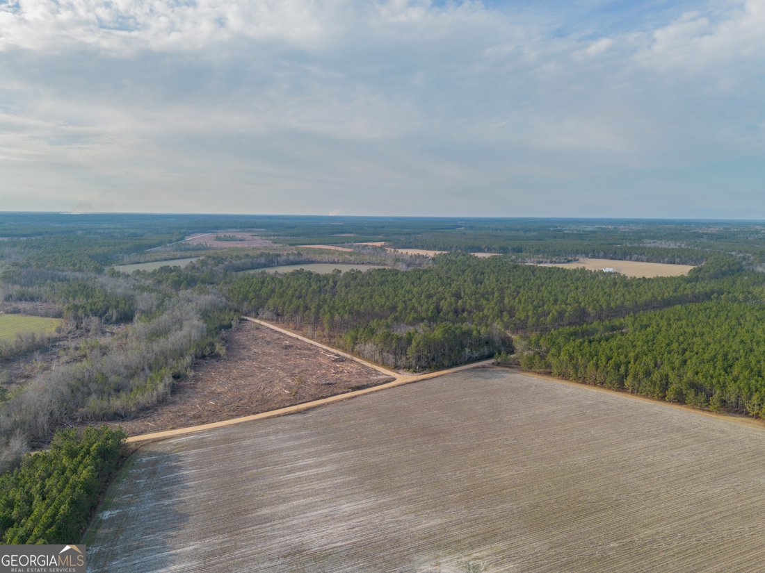 Farm Ranch in Odum, Georgia, United States 1 - 17911360