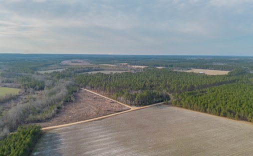 Farm Ranch in Odum, Georgia, United States 1