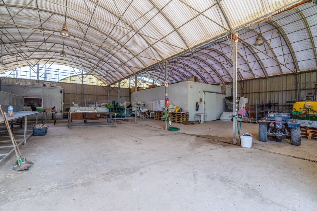 Land in Odeceixe, Algarve, Portugal 5 - 15882625