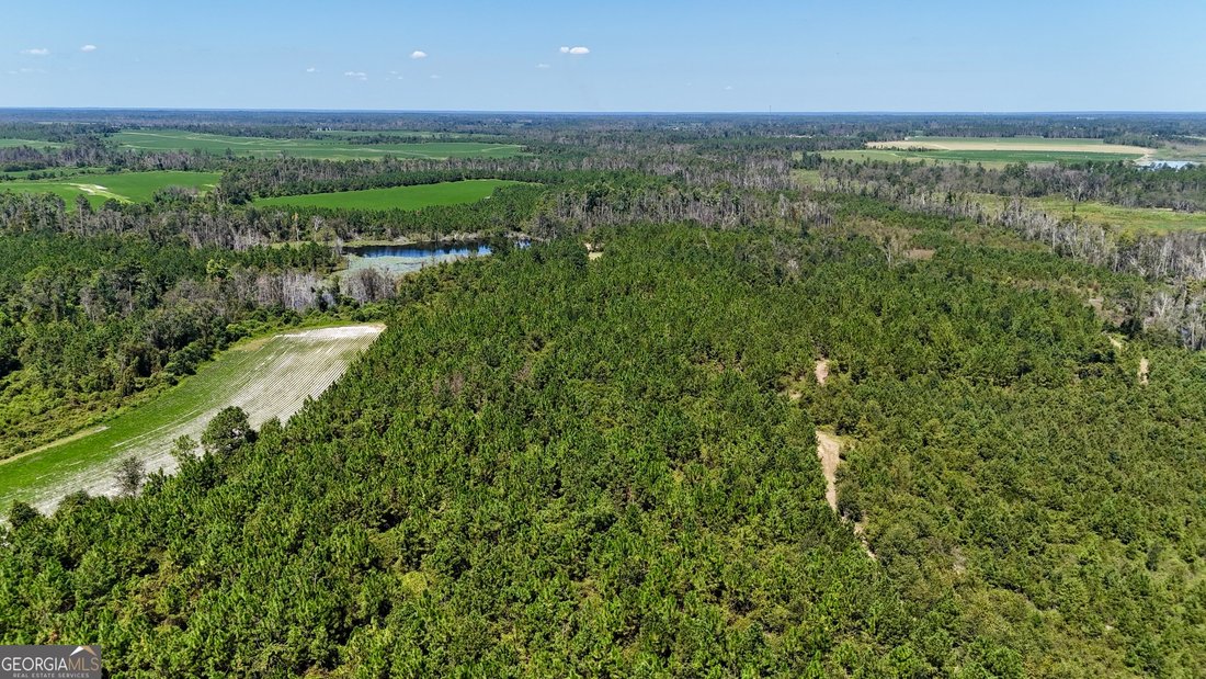 Farm Ranch in Hazlehurst, Georgia, United States 5 - 17911402
