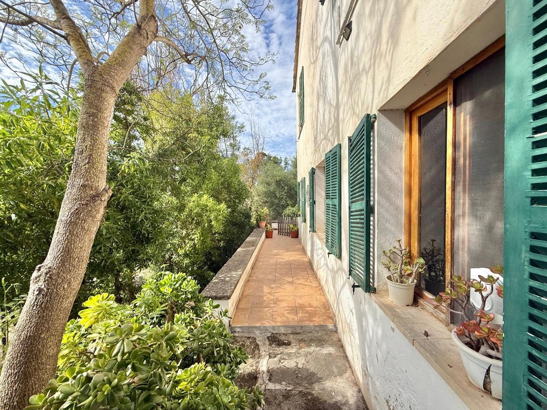 House in Port d'Andratx, Andratx, Balearic Islands 4 - 17672617