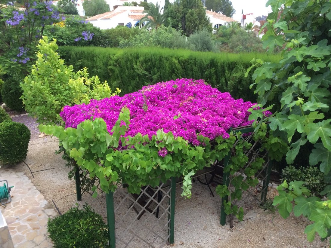 Villa in Xabia / Javea, Valencian Community, Spain 2 - 17906647