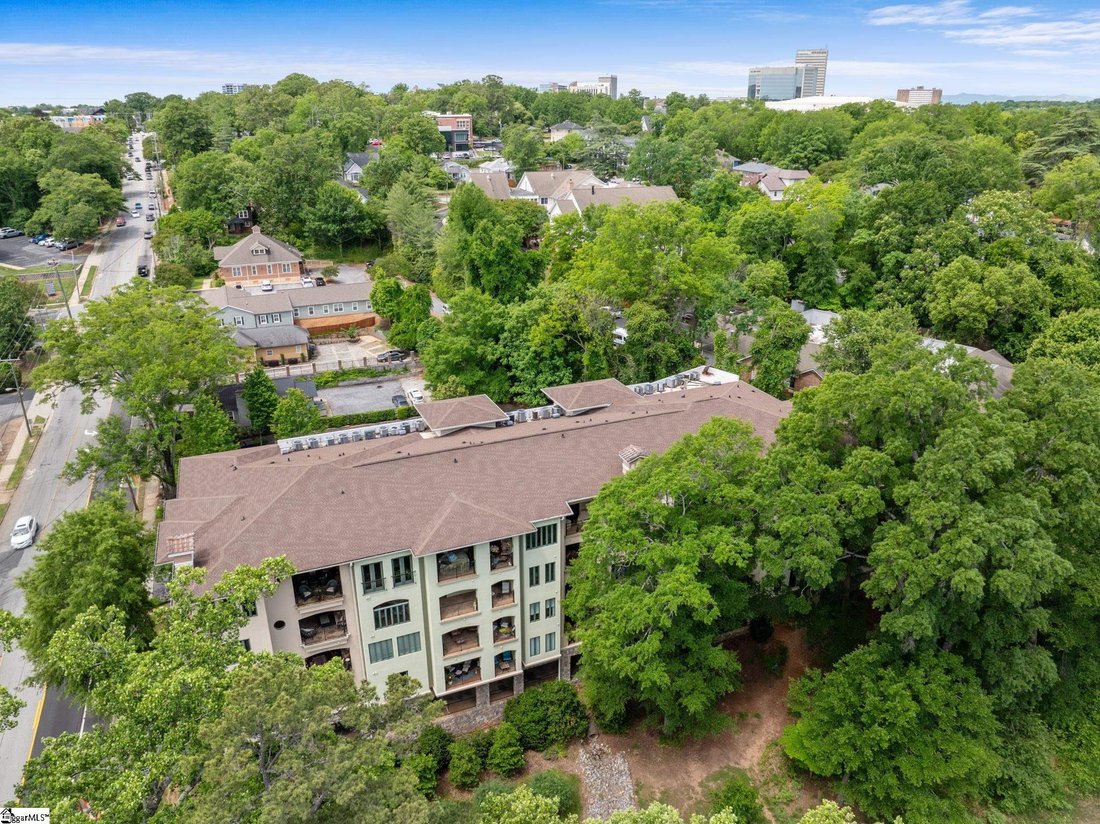 Condo in Greenville, South Carolina, United States 3 - 17793801