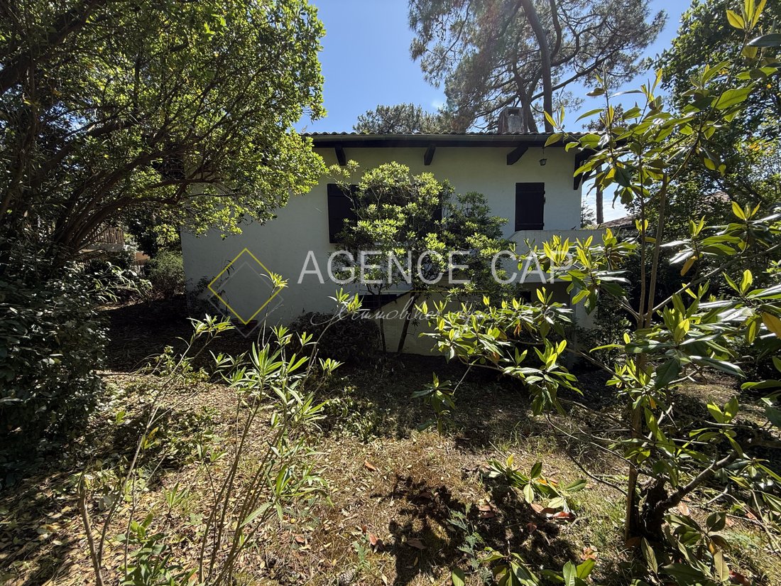 Villa in Aiguillon, Arcachon, France 4 - 17909925
