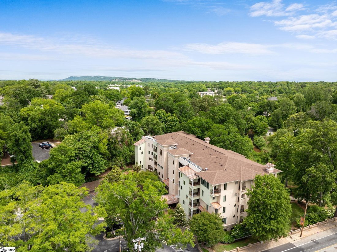 Condo in Greenville, South Carolina, United States 5 - 17793801