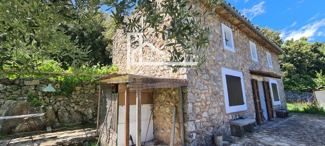 Finca a Escorca, Isole Baleari, Spagna 3 - 17907464