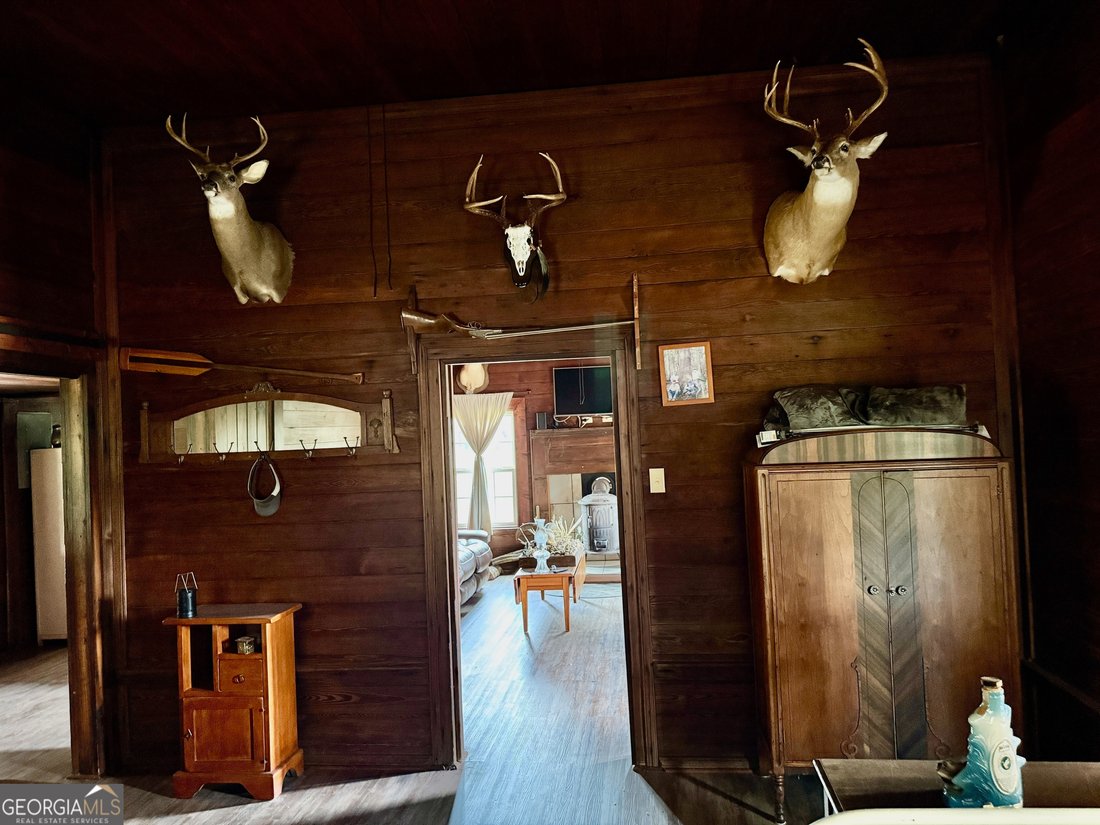 Farm Ranch in McRae-Helena, Georgia, United States 5 - 17911418