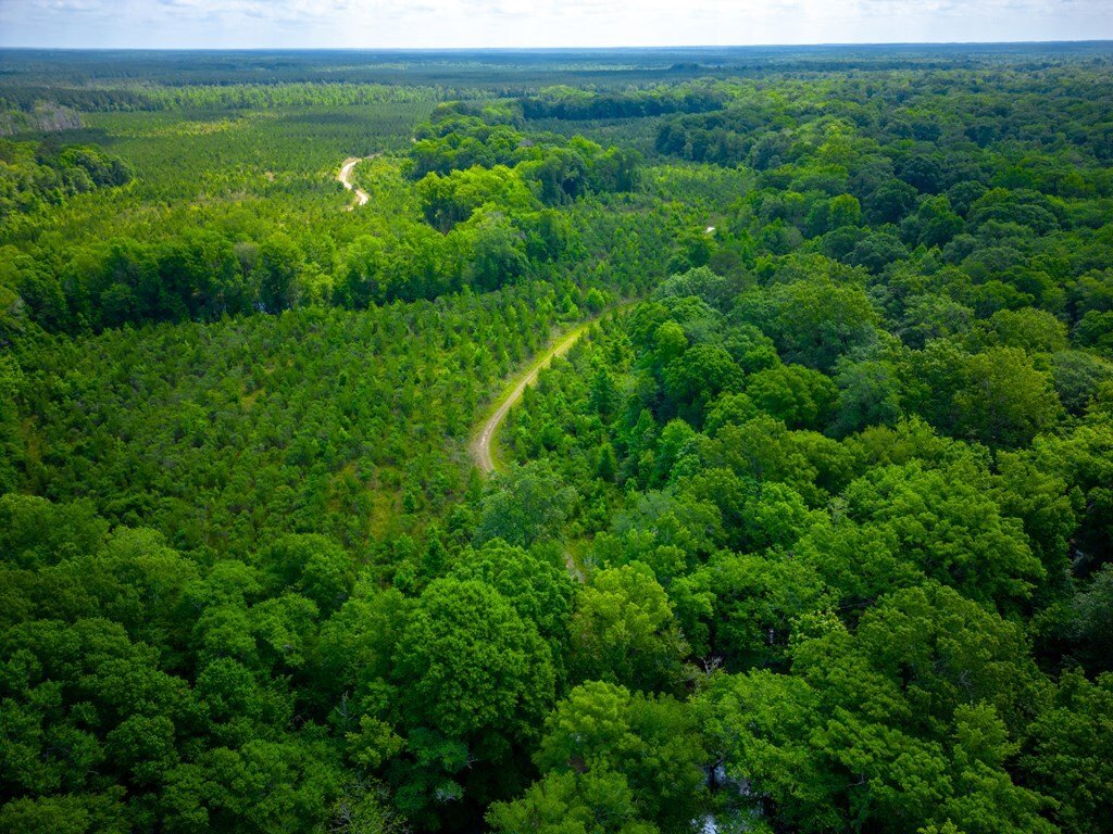 Land in Jacksonville, Georgia, United States 2 - 17911411