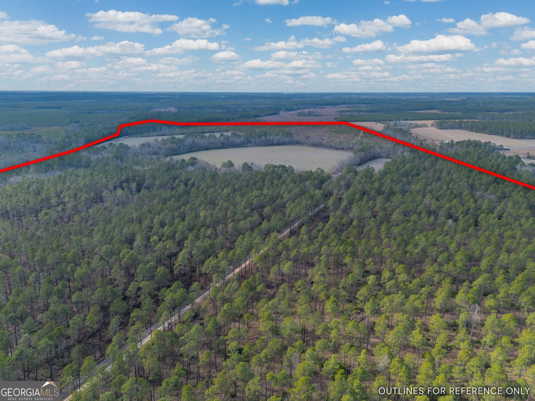 Farm Ranch in Odum, Georgia, United States 4 - 17911360