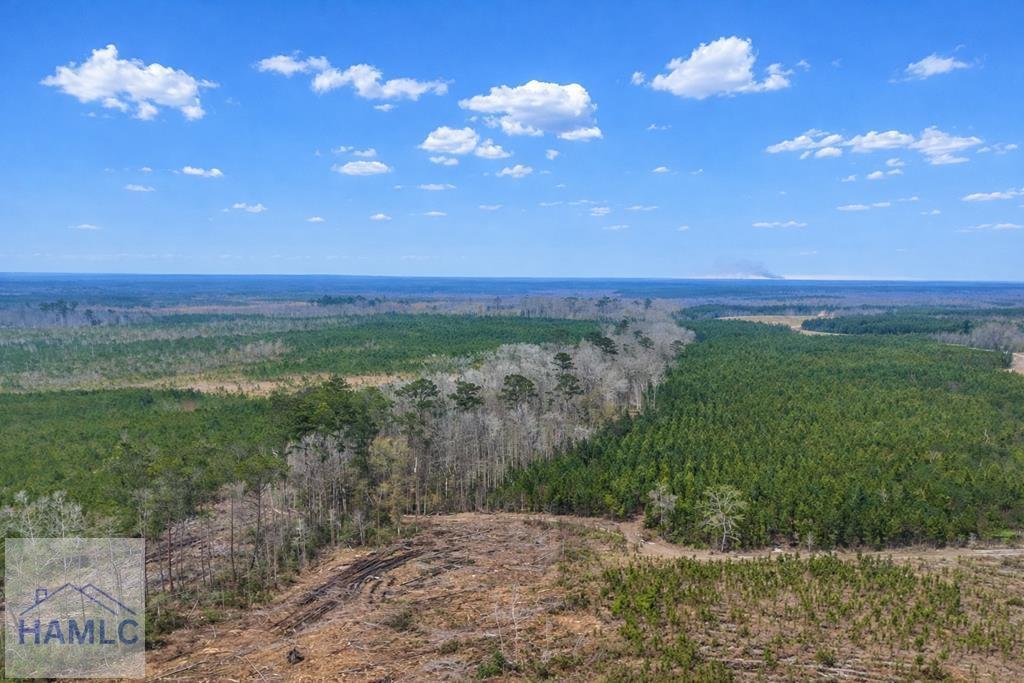 Land in Glennville, Georgia, United States 1 - 17911352
