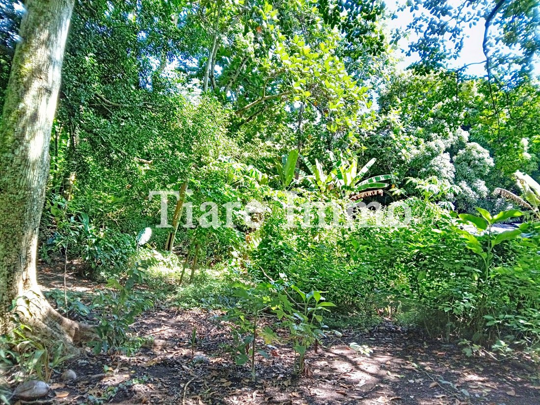 Terreno a Arue, Isole del Vento, Polinesia Francese 2 - 17912538
