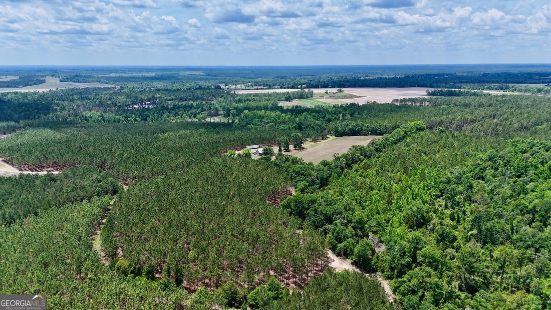 Farm Ranch in McRae-Helena, Georgia, United States 1 - 17911418