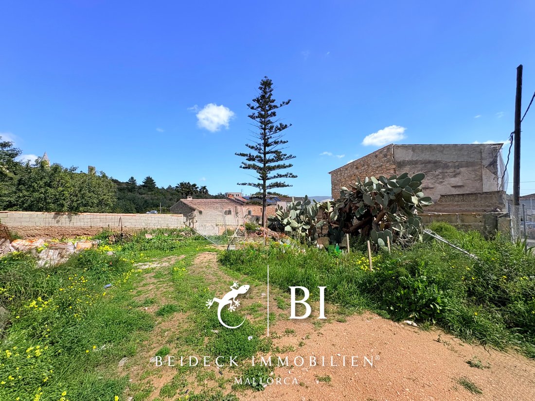 House in Son Servera, Balearic Islands, Spain 5 - 17906637