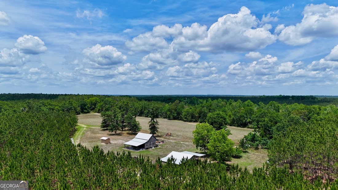 Farm Ranch in McRae-Helena, Georgia, United States 2 - 17911418