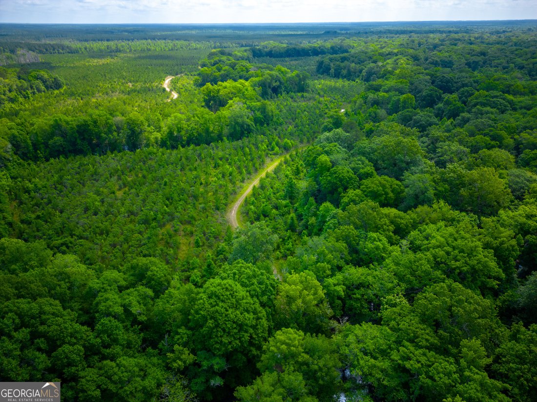 Azienda agricola a Jacksonville, Georgia, Stati Uniti 2 - 17911413