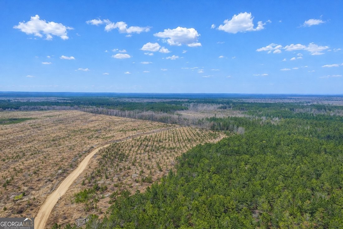 Farm Ranch in Glennville, Georgia, United States 4 - 17911355