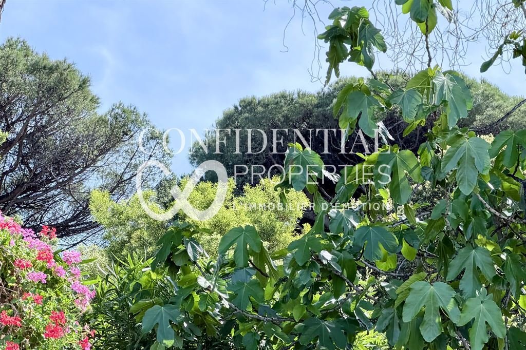 House in Zone Ouest Urbaine, Saint-Tropez, France 4 - 17827478