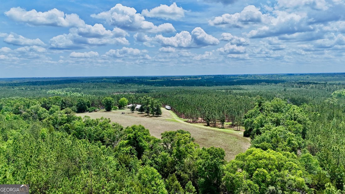 Farm Ranch in McRae-Helena, Georgia, United States 3 - 17911418