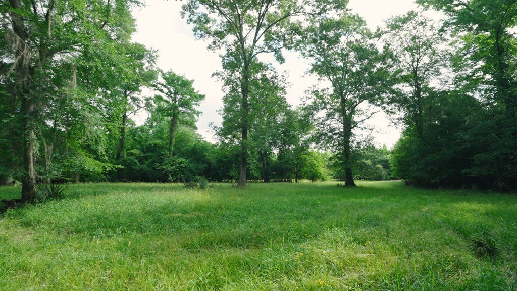 Land in Jacksonville, Georgia, United States 5 - 17911411
